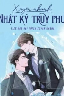 Xuyên Nhanh Nhật Ký Truy Phu