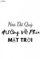 Hoa Dã Quỳ Hướng Về Phía Mặt Trời