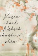 Xuyên Nhanh: Nghịch Chuyển Số Phận